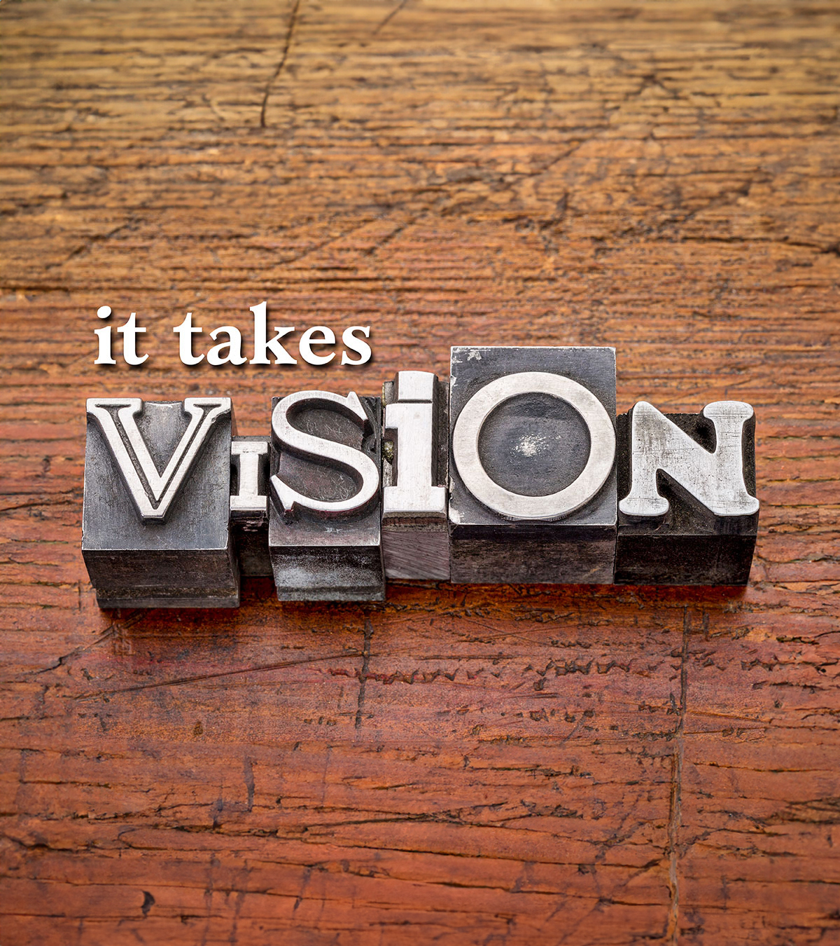it-takes-vision copy 2
